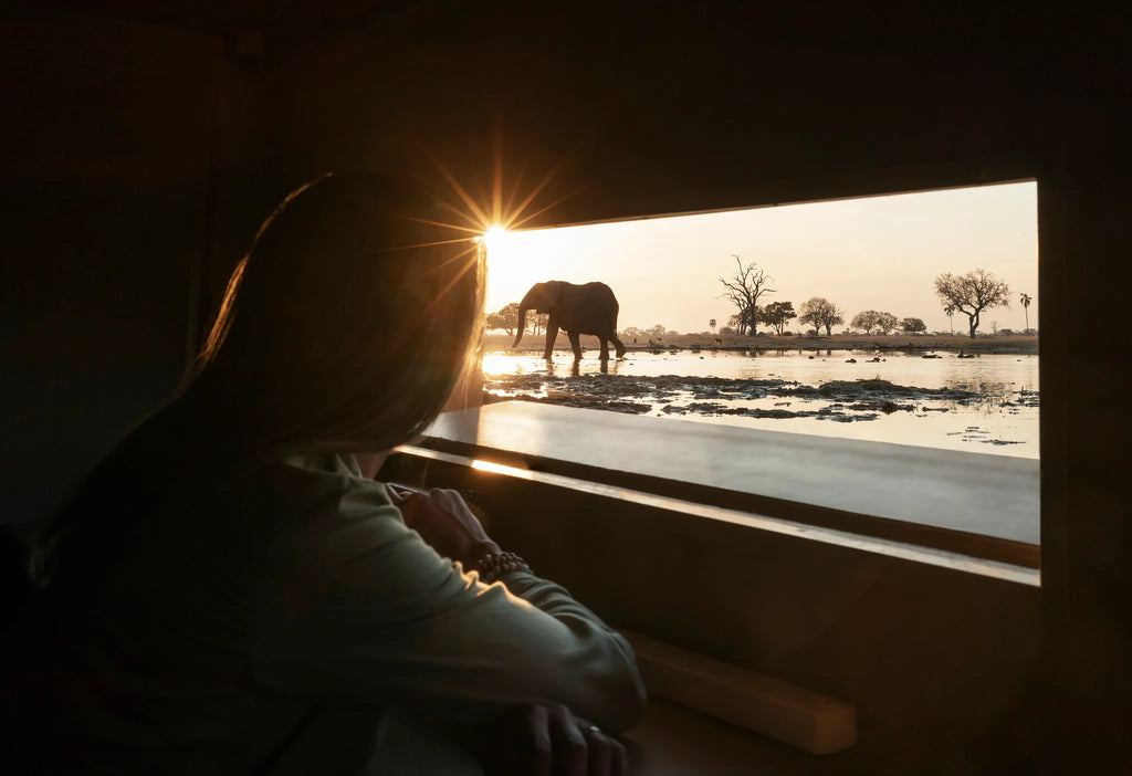 Wilderness Linkwasha at Wilderness Linkwasha, Eastern Hwange National Park, Zimbabwe.