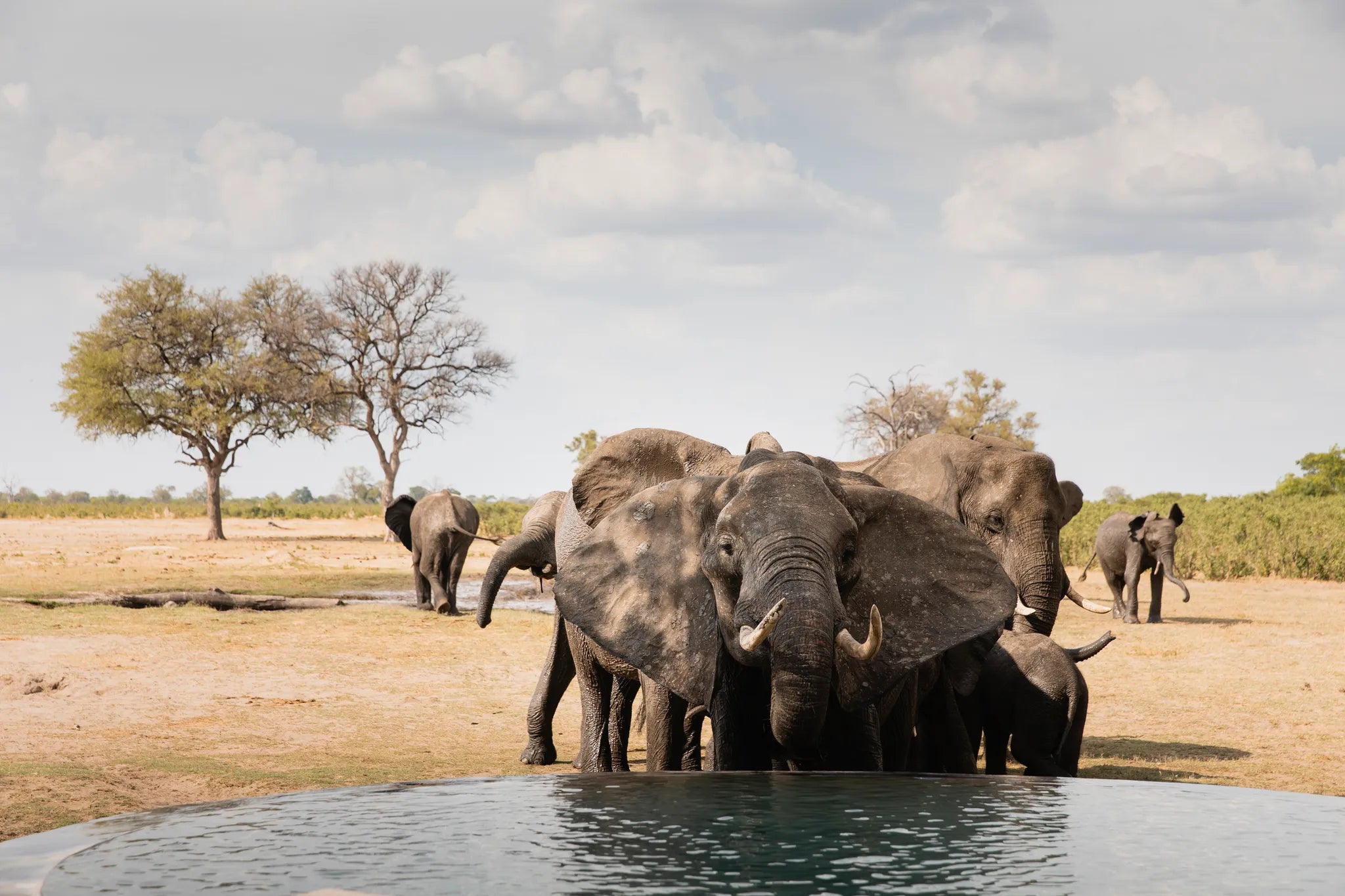 Wilderness Little Makalolo at Wilderness Little Makalolo, Eastern Hwange National Park, Zimbabwe.