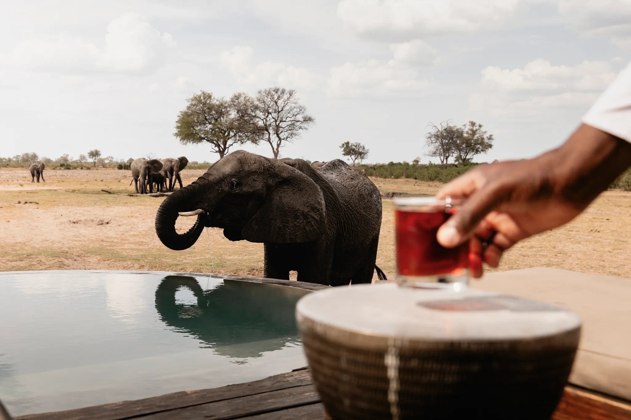 Wilderness Little Makalolo at Wilderness Little Makalolo, Eastern Hwange National Park, Zimbabwe.