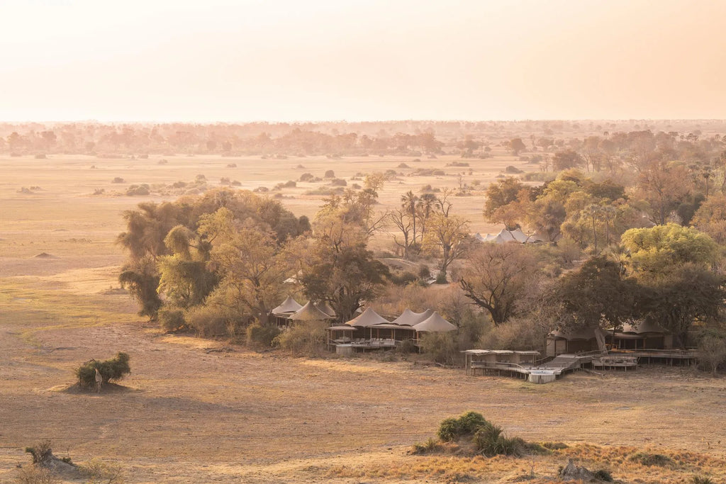Wilderness Little Mombo at Wilderness Little Mombo, Mombo Concession, Botswana.