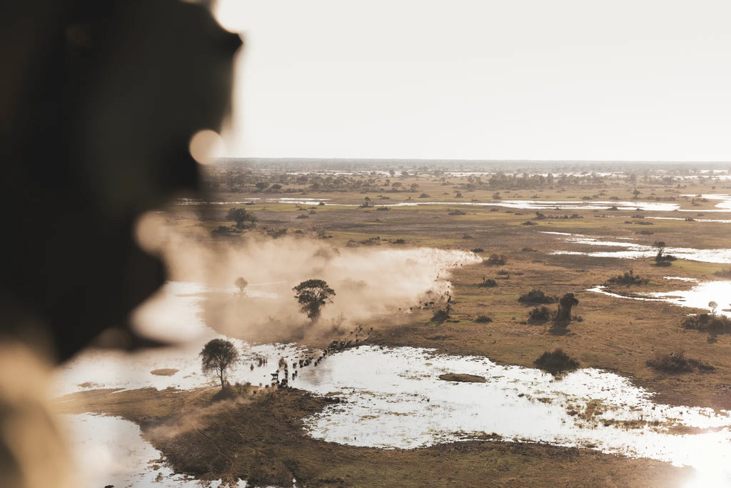 Wilderness Little Mombo at Wilderness Little Mombo, Mombo Concession, Botswana.