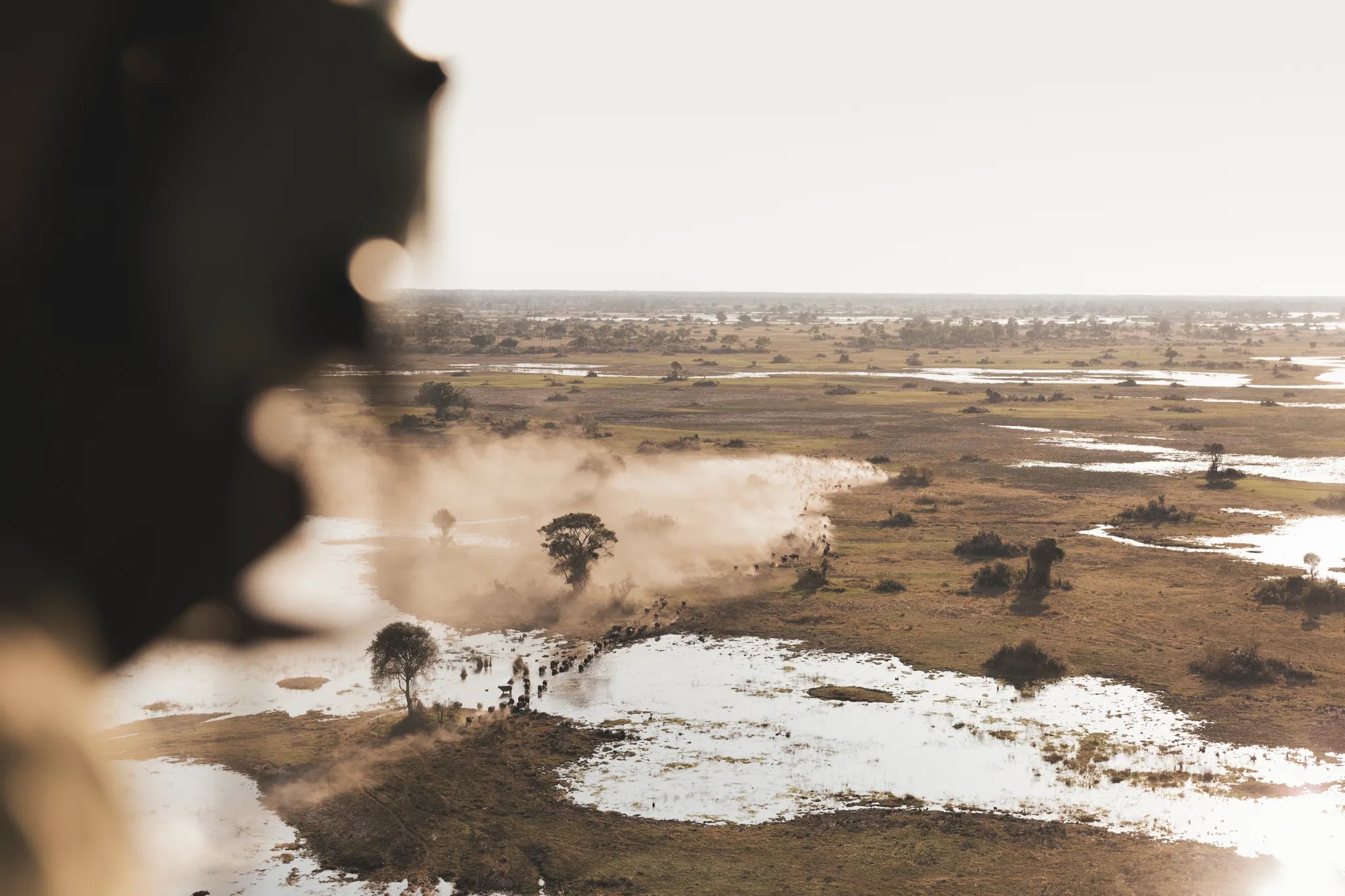 Wilderness Little Mombo at Wilderness Little Mombo, Mombo Concession, Botswana.