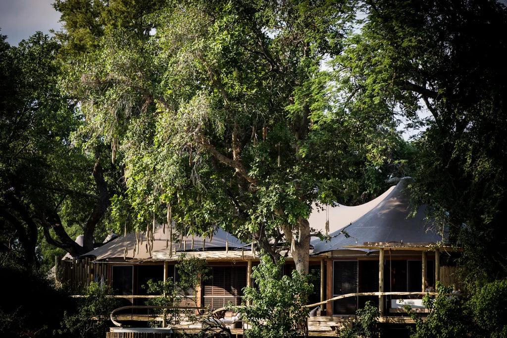 Wilderness Little Mombo at Wilderness Little Mombo, Mombo Concession, Botswana.