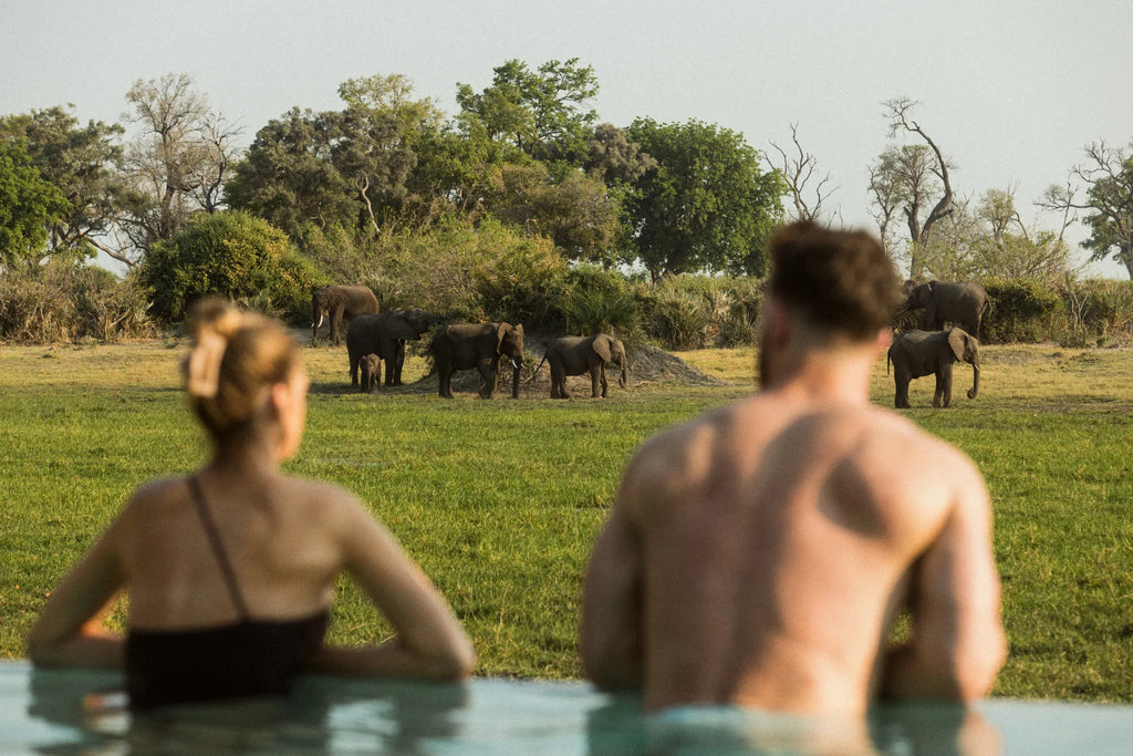 Wilderness Little Mombo at Wilderness Little Mombo, Mombo Concession, Botswana.
