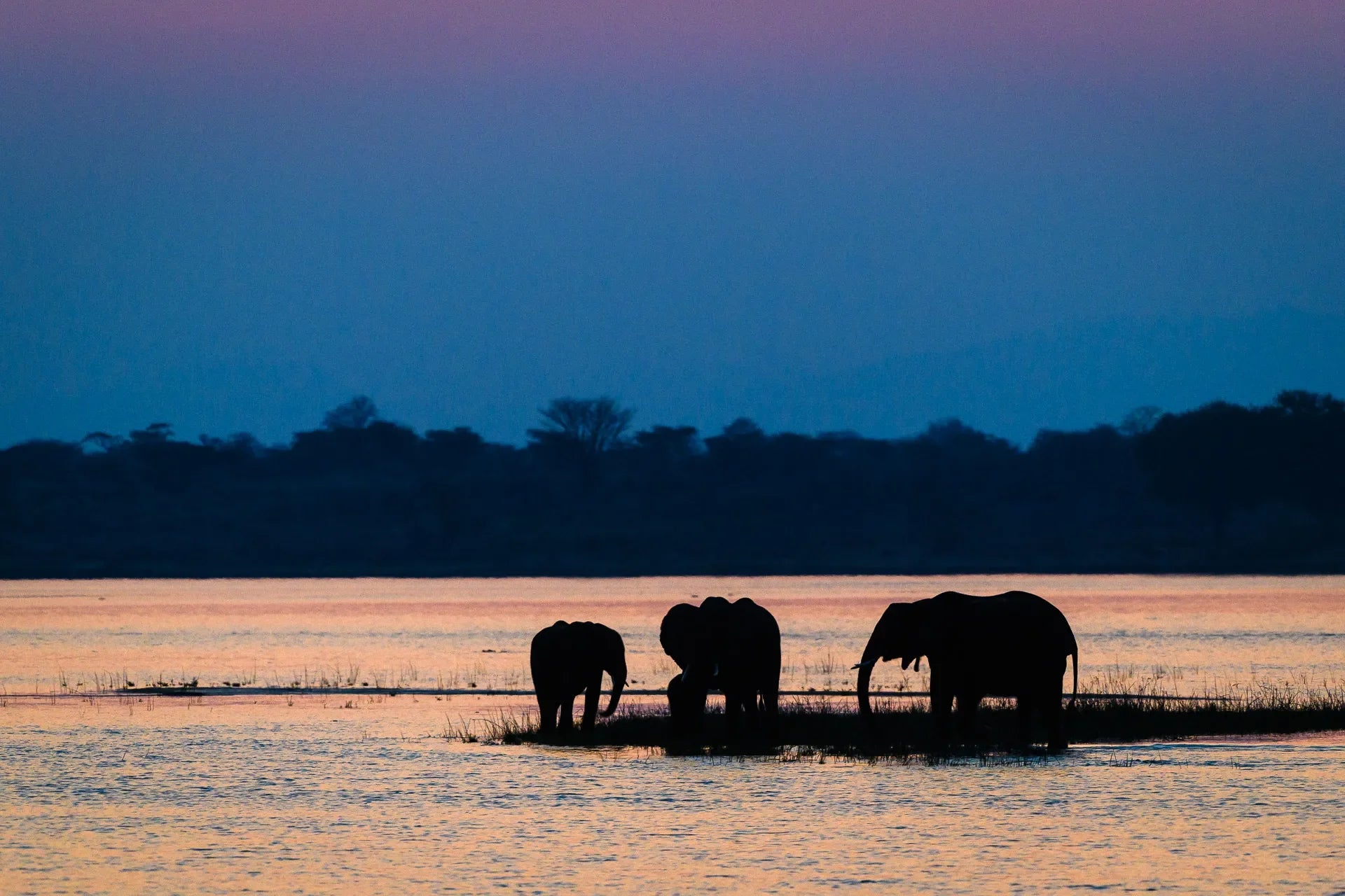 Wilderness Little Ruckomechi at Wilderness Little Ruckomechi, Mana Pools National Park, Zimbabwe.