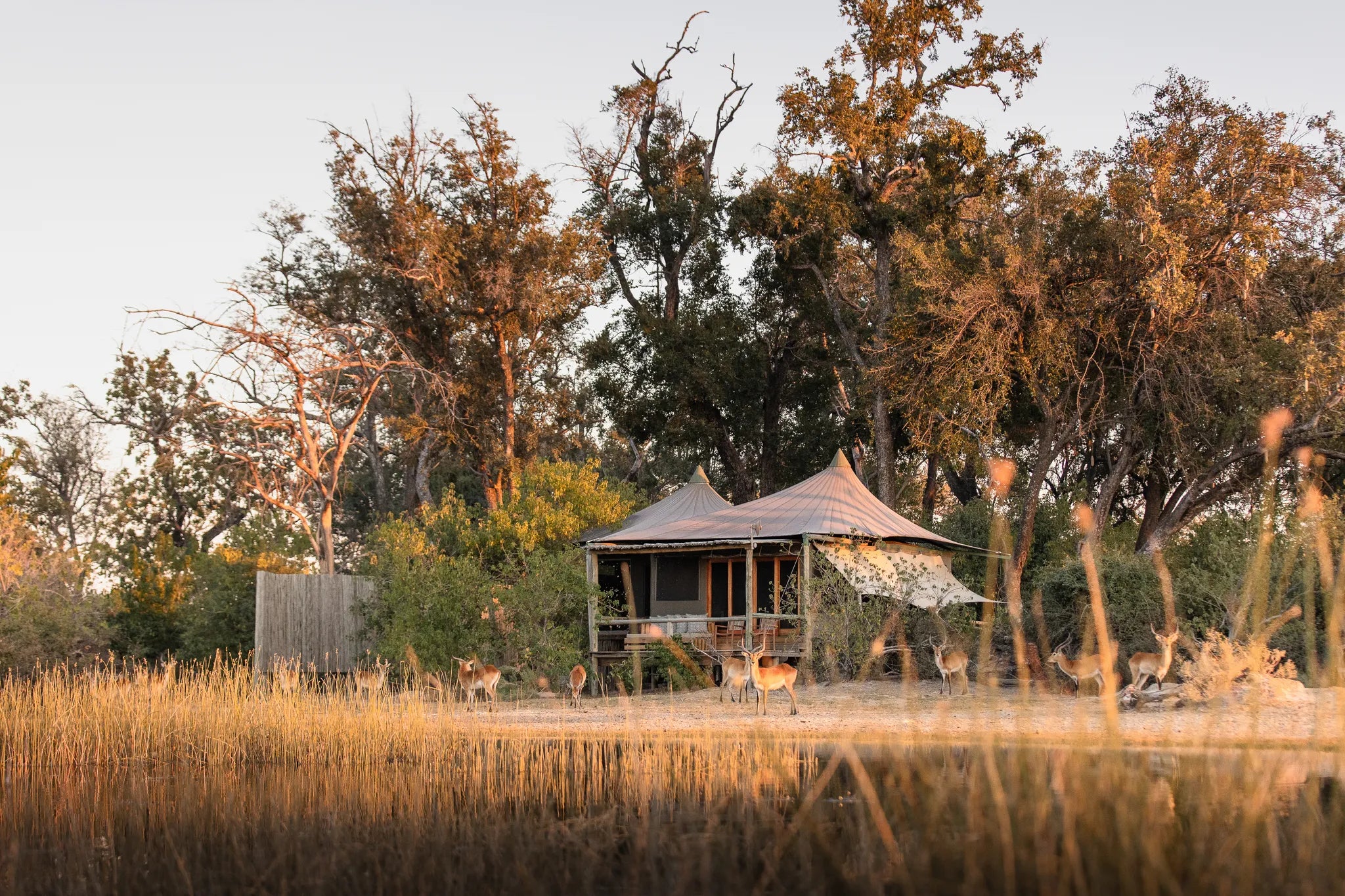 Wilderness Little Vumbura at Wilderness Little Vumbura, Kwedi Concession, Botswana.