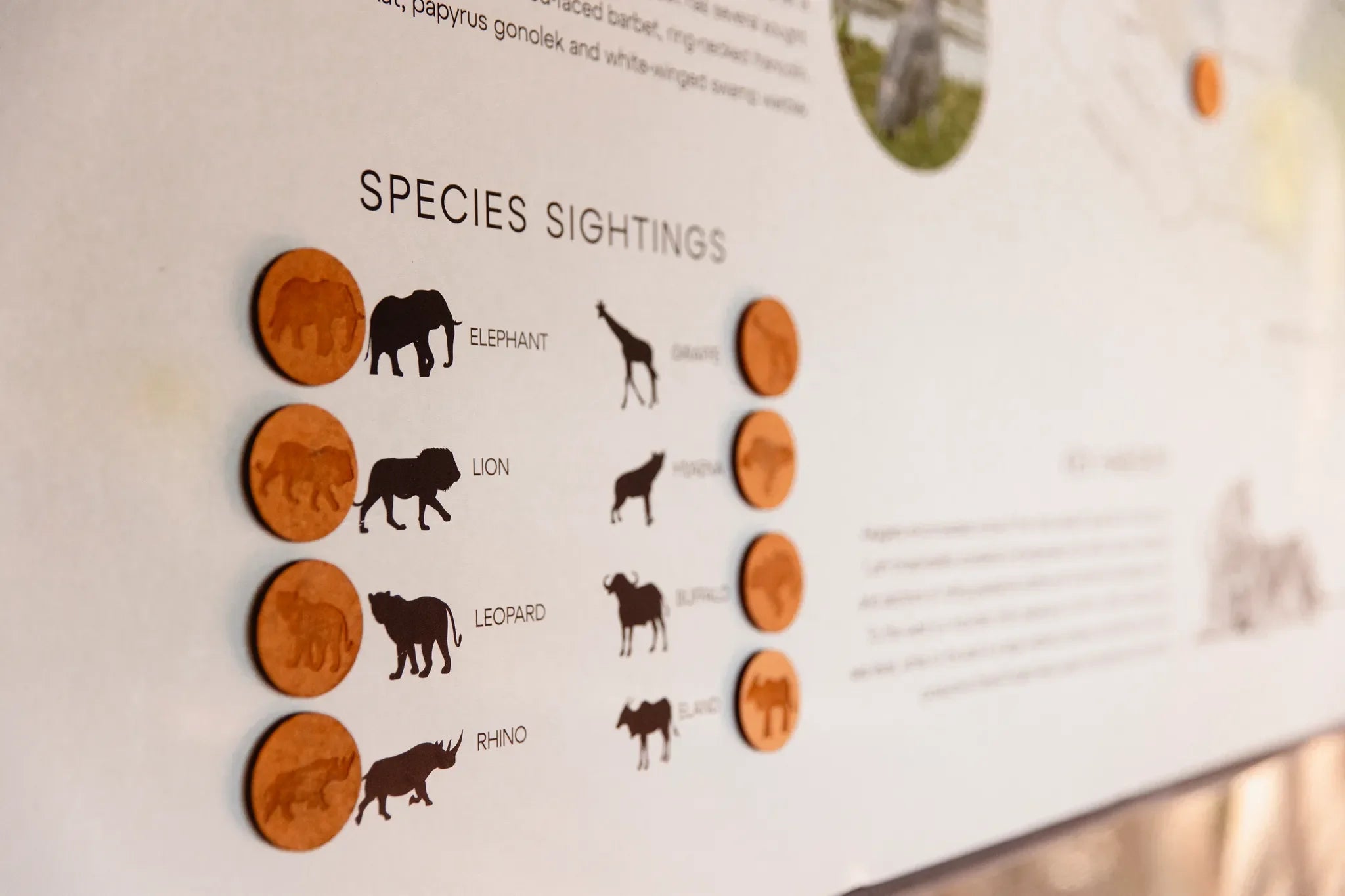 Wilderness Magashi at Wilderness Magashi, Akagera National Park, Rwanda.