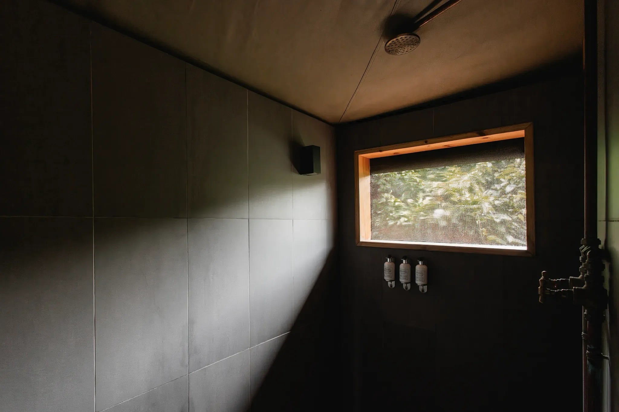 Room gallery image 12.