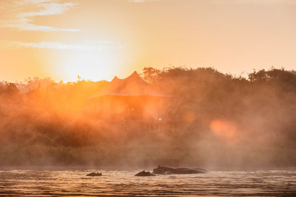 Room gallery image 1.