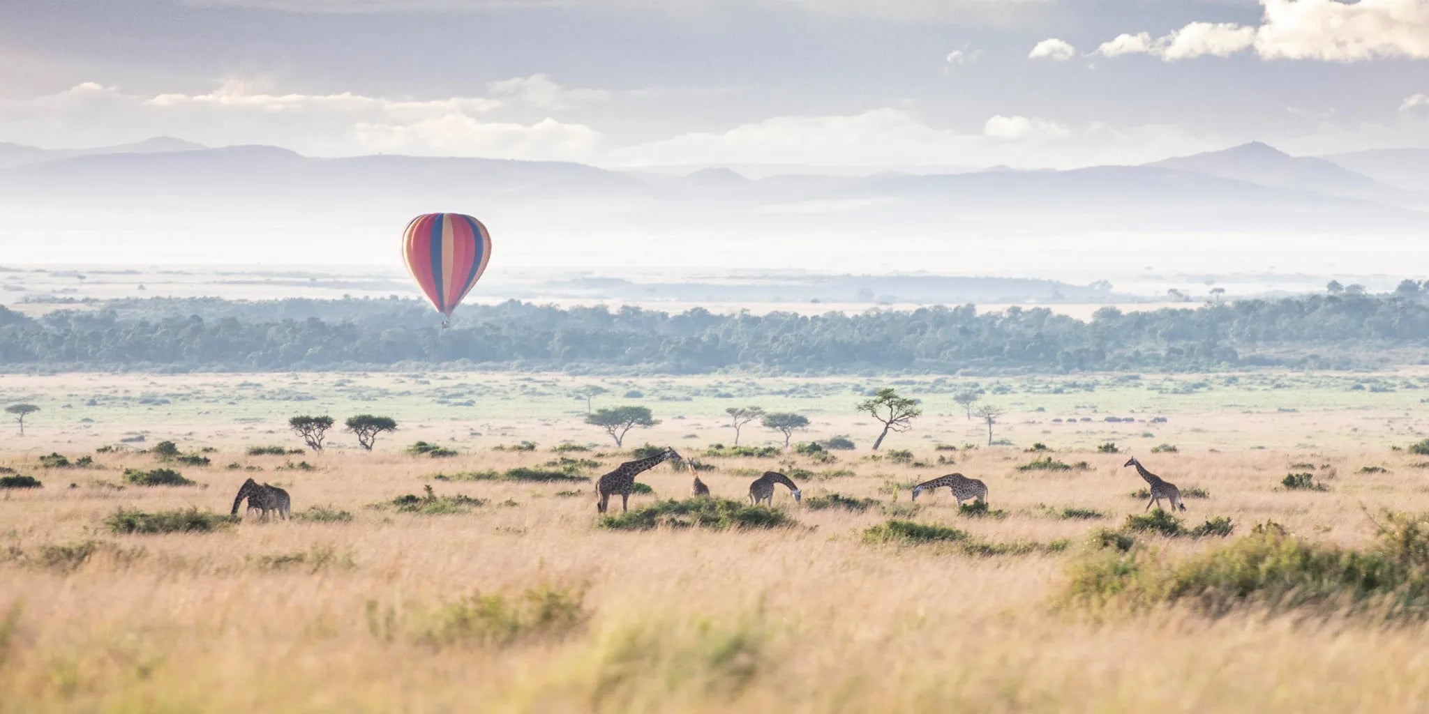 Wilderness Mara at Wilderness Mara, Masai Mara National Reserve, Kenya.