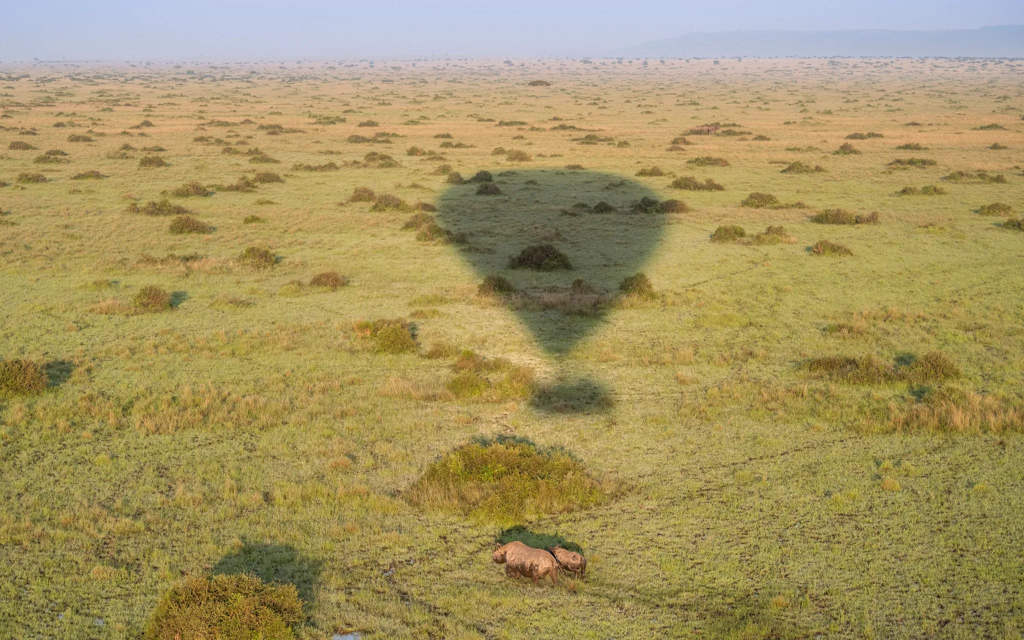 Wilderness Mara at Wilderness Mara, Masai Mara National Reserve, Kenya.