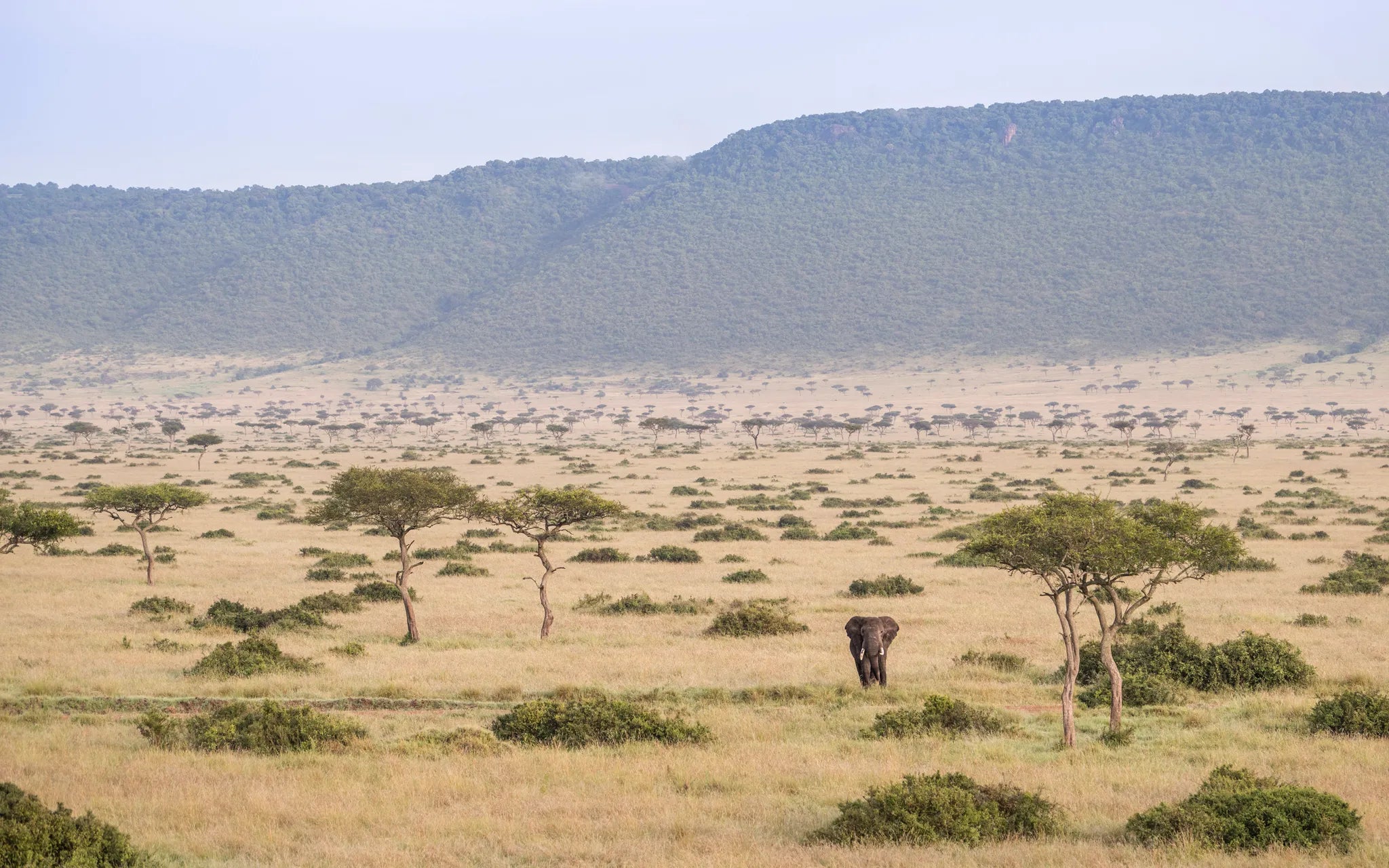 Wilderness Mara at Wilderness Mara, Masai Mara National Reserve, Kenya.