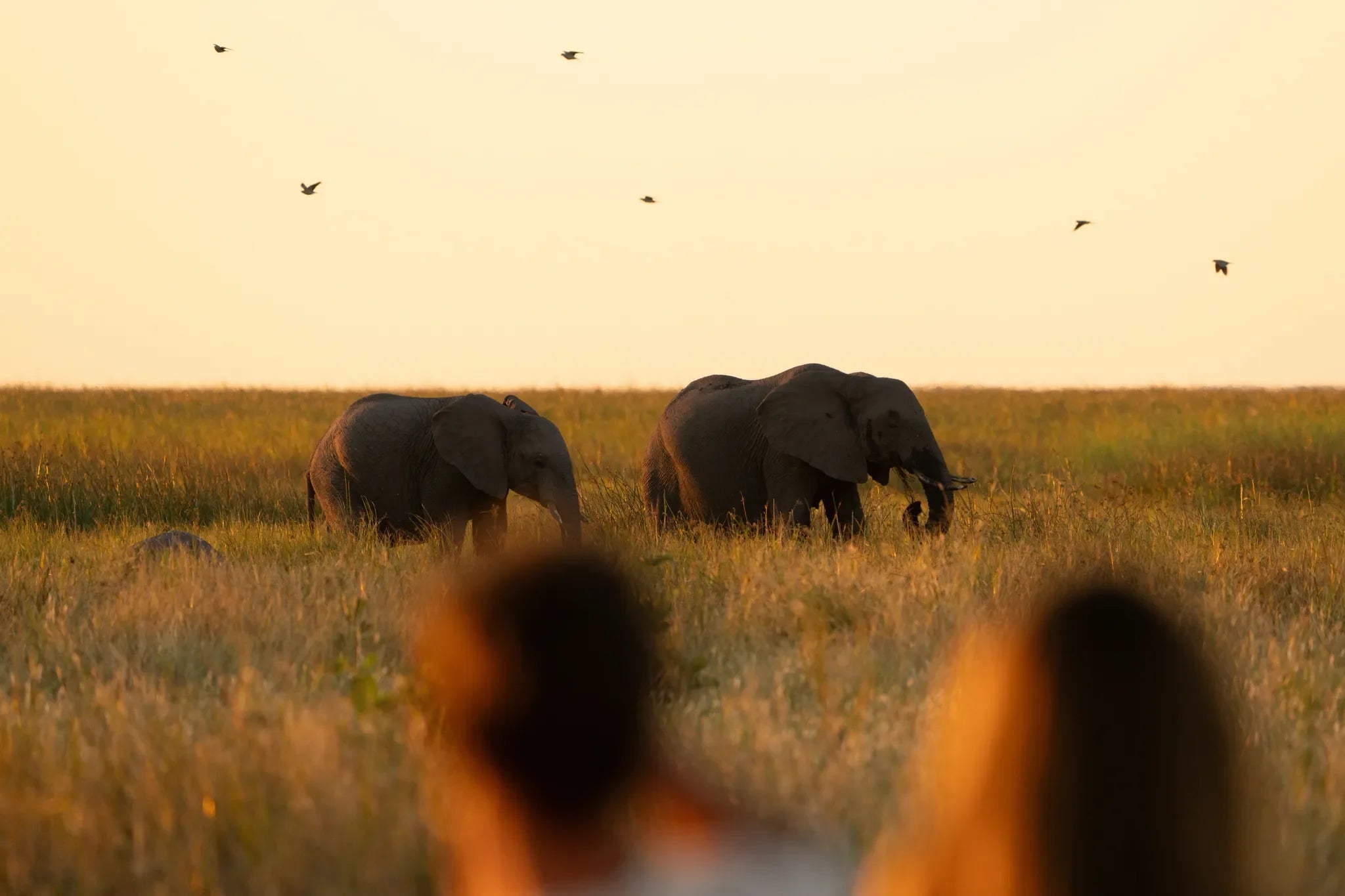 Wilderness Mokete at Wilderness Mokete, Mababe, Botswana.