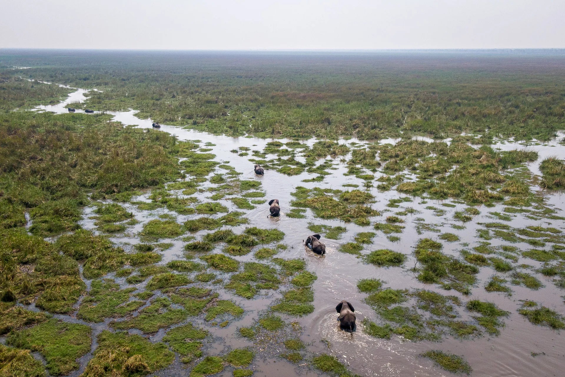 Wilderness Mokete at Wilderness Mokete, Mababe, Botswana.