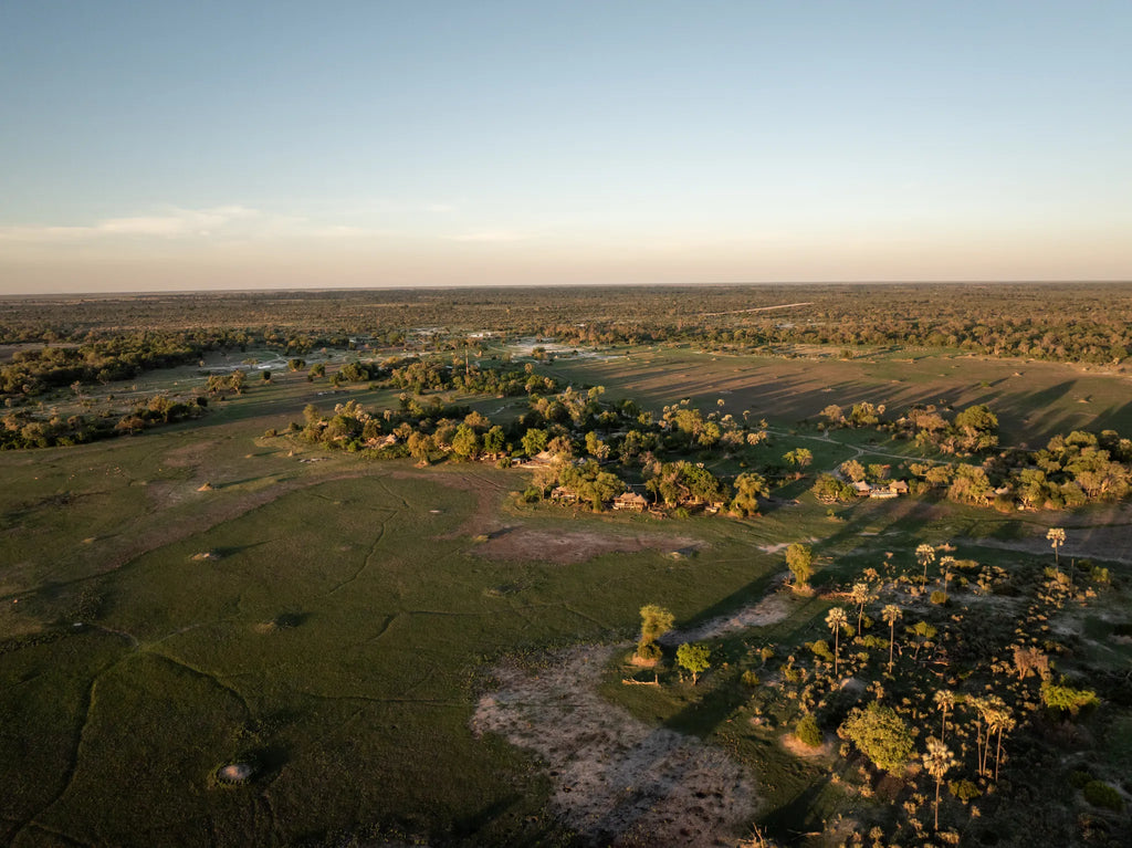 Wilderness Mombo at Wilderness Mombo, Mombo Concession, Botswana.