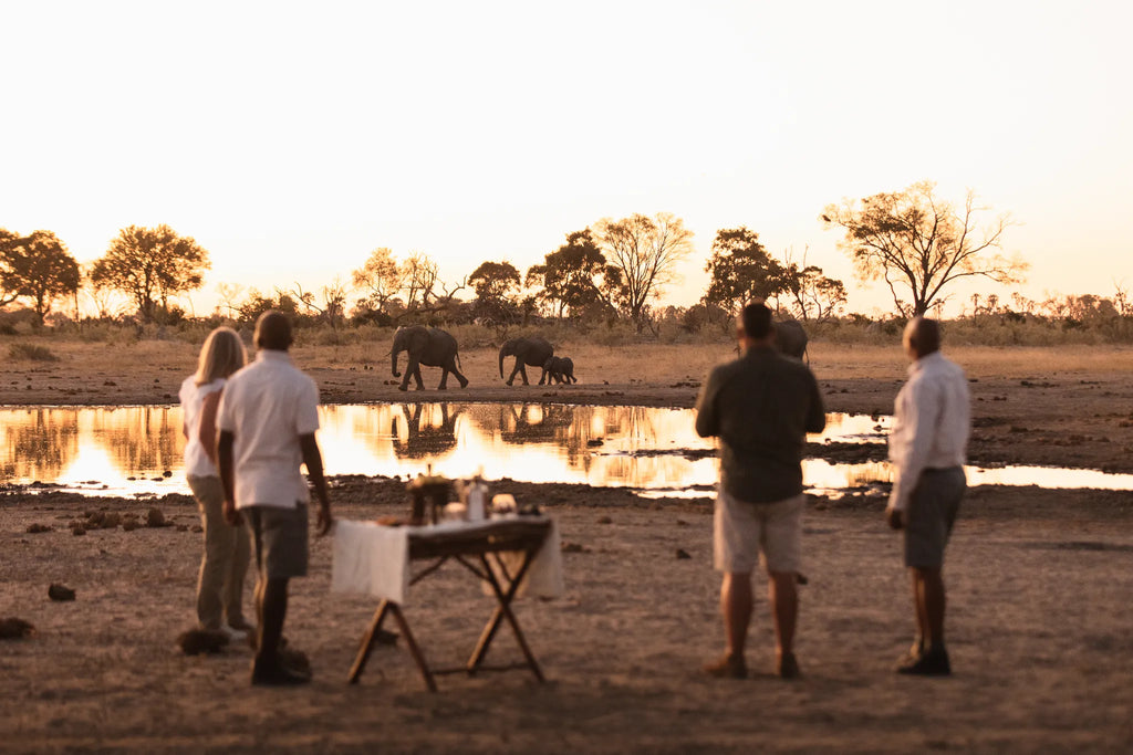 Wilderness Qorokwe at Wilderness Qorokwe, Okavango Delta, Botswana.