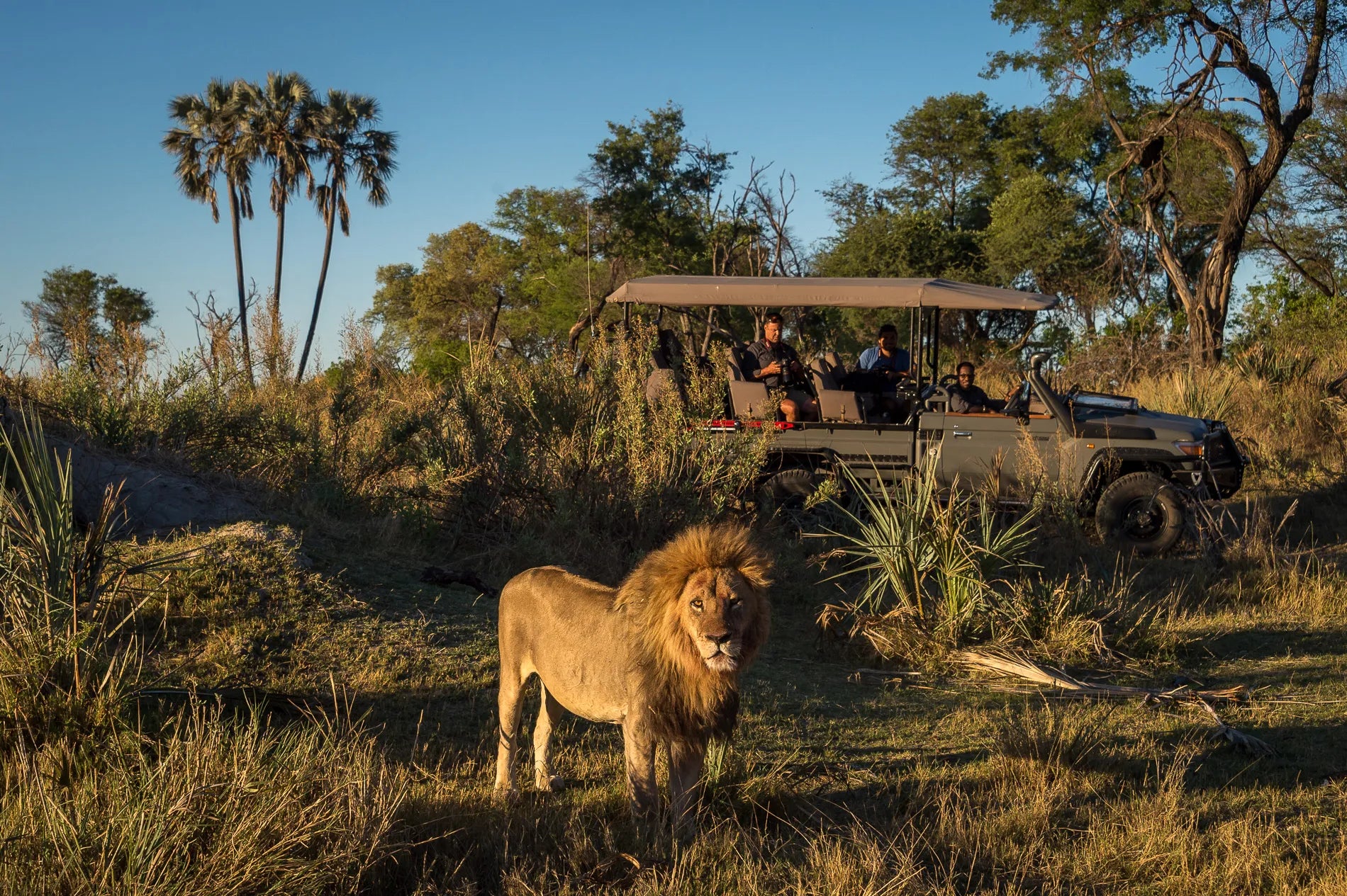 Wilderness Qorokwe at Wilderness Qorokwe, Okavango Delta, Botswana.
