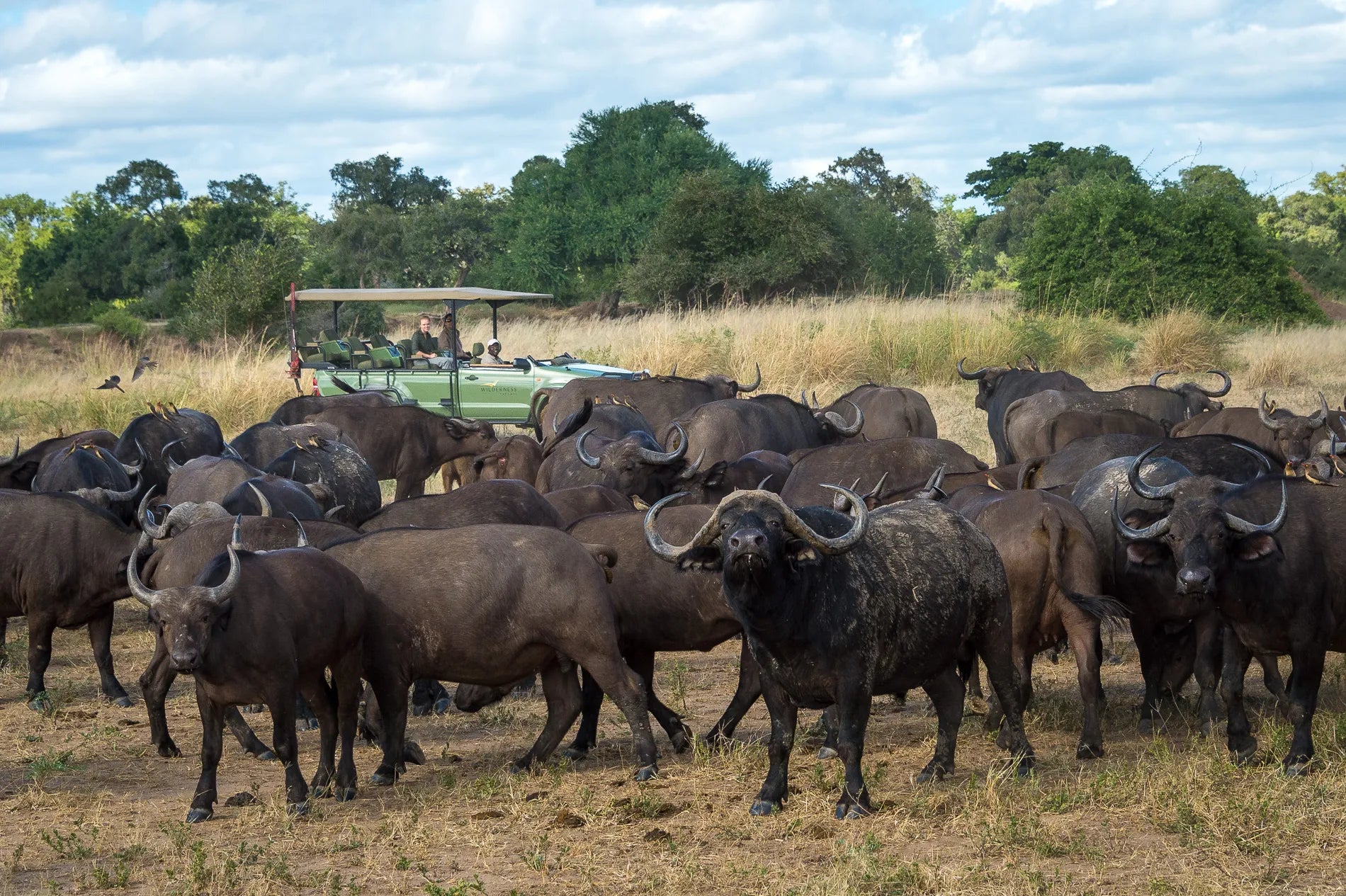 Wilderness Ruckomechi at Wilderness Ruckomechi, Mana Pools National Park, Zimbabwe.