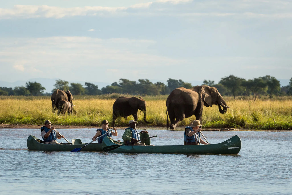 Wilderness Ruckomechi at Wilderness Ruckomechi, Mana Pools National Park, Zimbabwe.