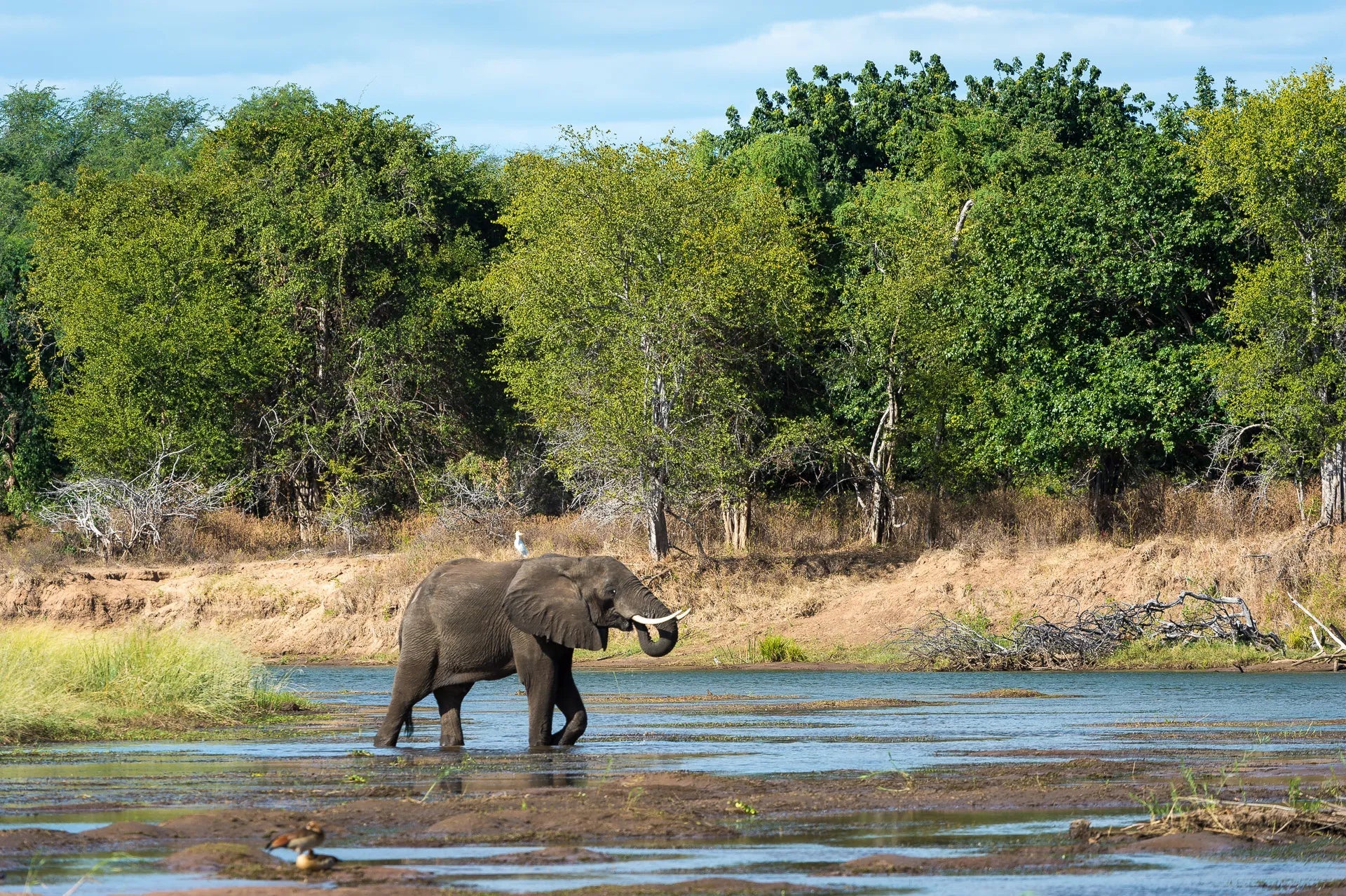 Wilderness Ruckomechi at Wilderness Ruckomechi, Mana Pools National Park, Zimbabwe.