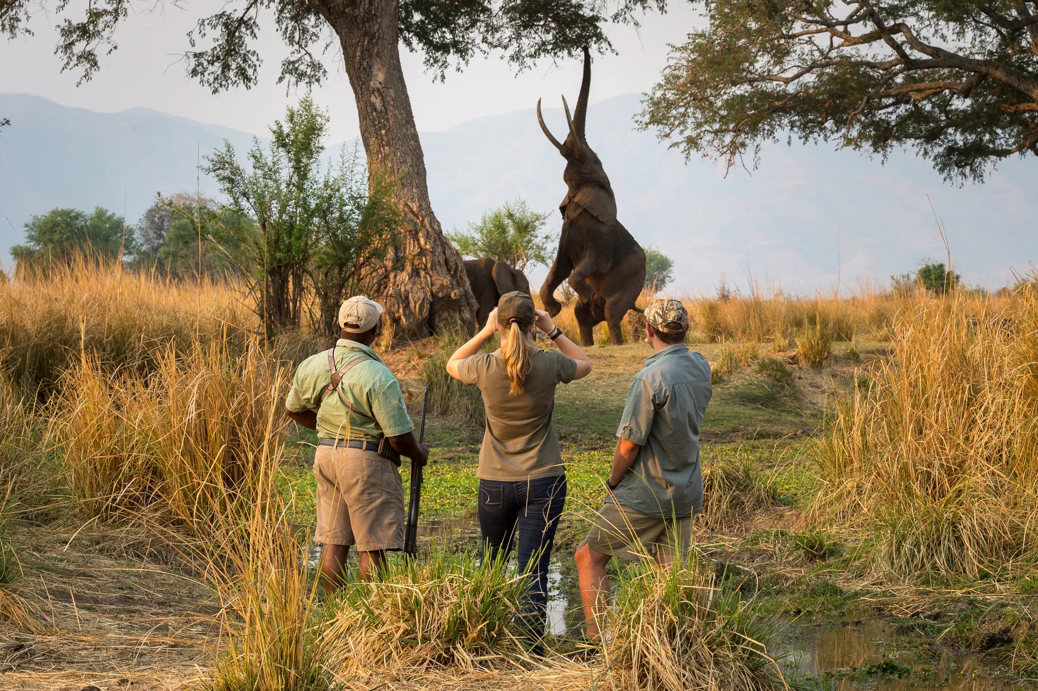 Wilderness Ruckomechi at Wilderness Ruckomechi, Mana Pools National Park, Zimbabwe.