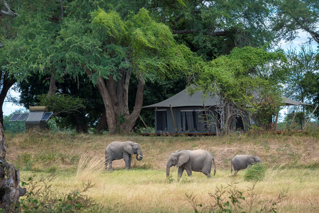 Wilderness Ruckomechi at Wilderness Ruckomechi, Mana Pools National Park, Zimbabwe.