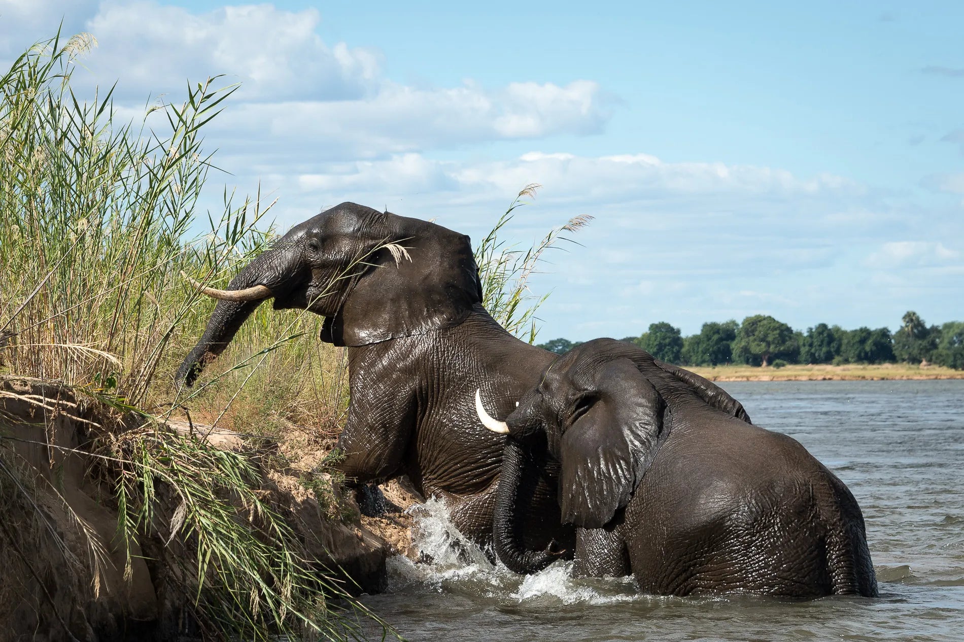 Wilderness Ruckomechi at Wilderness Ruckomechi, Mana Pools National Park, Zimbabwe.