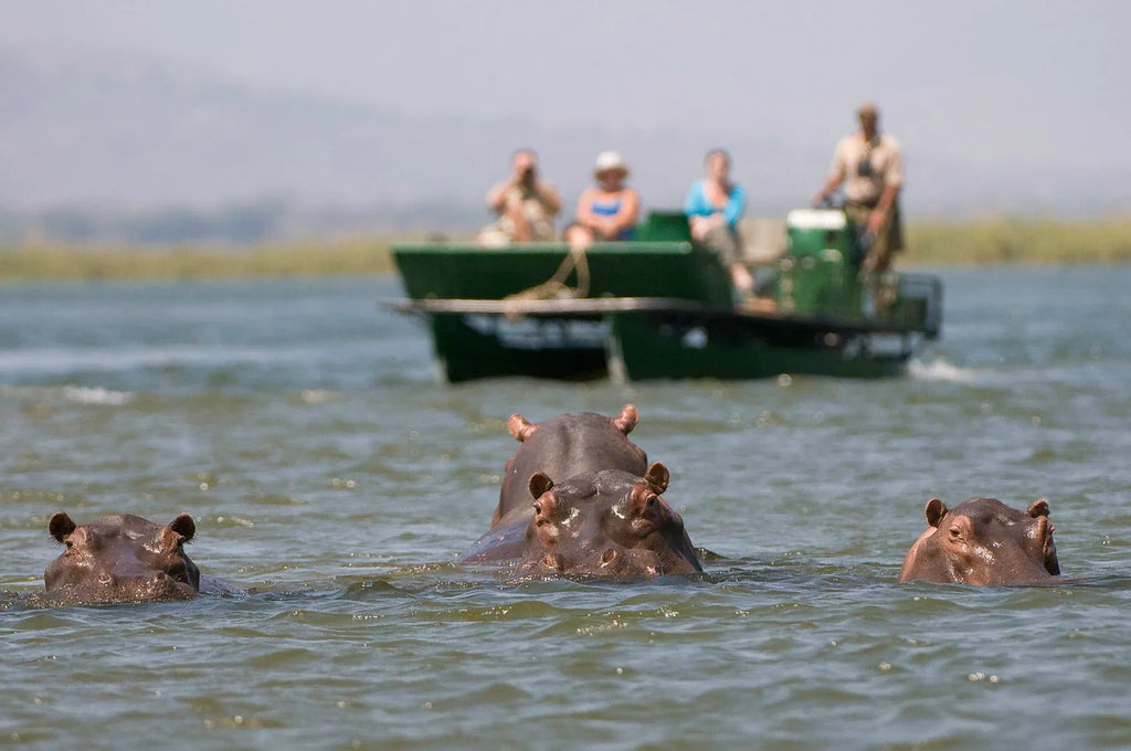 Wilderness Ruckomechi at Wilderness Ruckomechi, Mana Pools National Park, Zimbabwe.