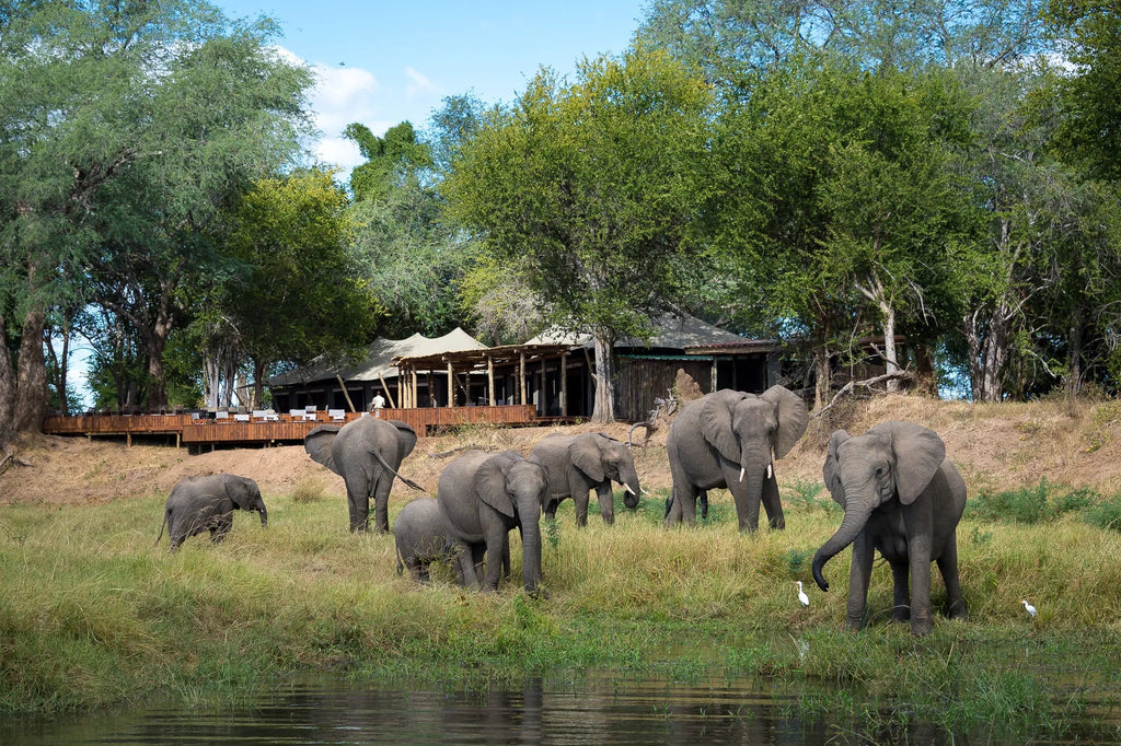 Wilderness Ruckomechi at Wilderness Ruckomechi, Mana Pools National Park, Zimbabwe.