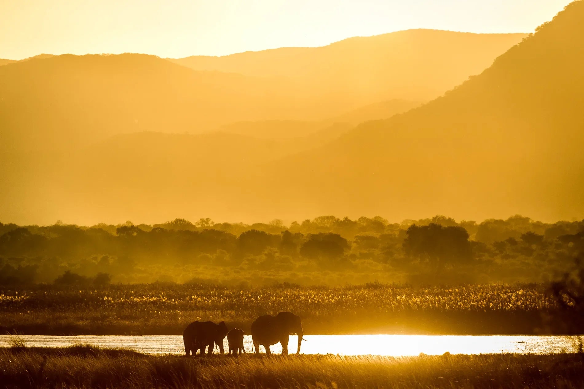 Wilderness Ruckomechi at Wilderness Ruckomechi, Mana Pools National Park, Zimbabwe.