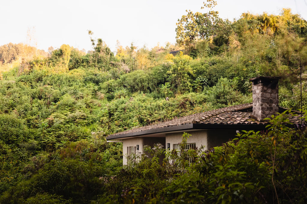 Room gallery image 17.