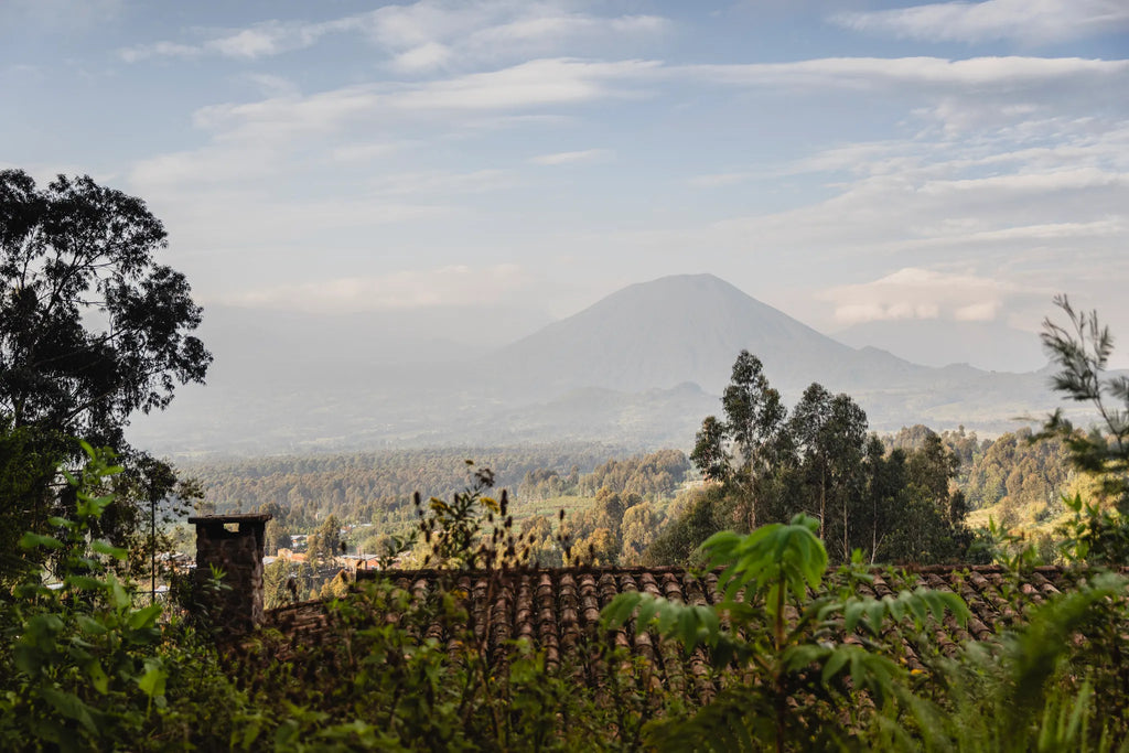 Room gallery image 18.