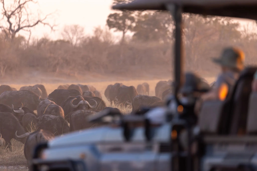 Wilderness Savuti at Wilderness Savuti, Linyanti Concession, Botswana.