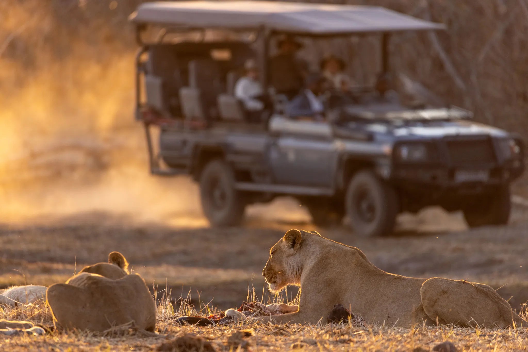 Wilderness Savuti at Wilderness Savuti, Linyanti Concession, Botswana.
