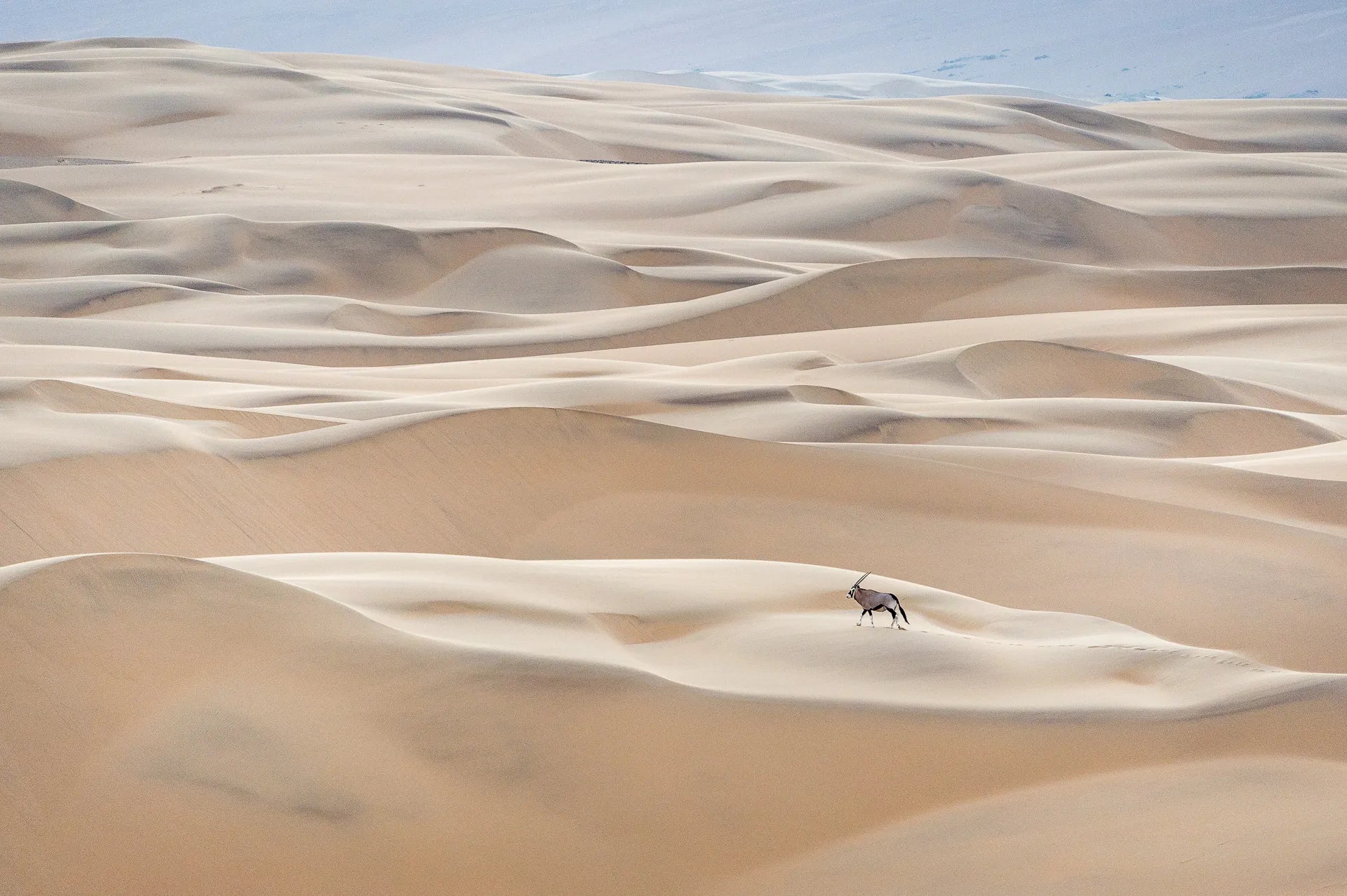Wilderness Serra Cafema at Wilderness Serra Cafema, Hartmann Valley, Namibia.