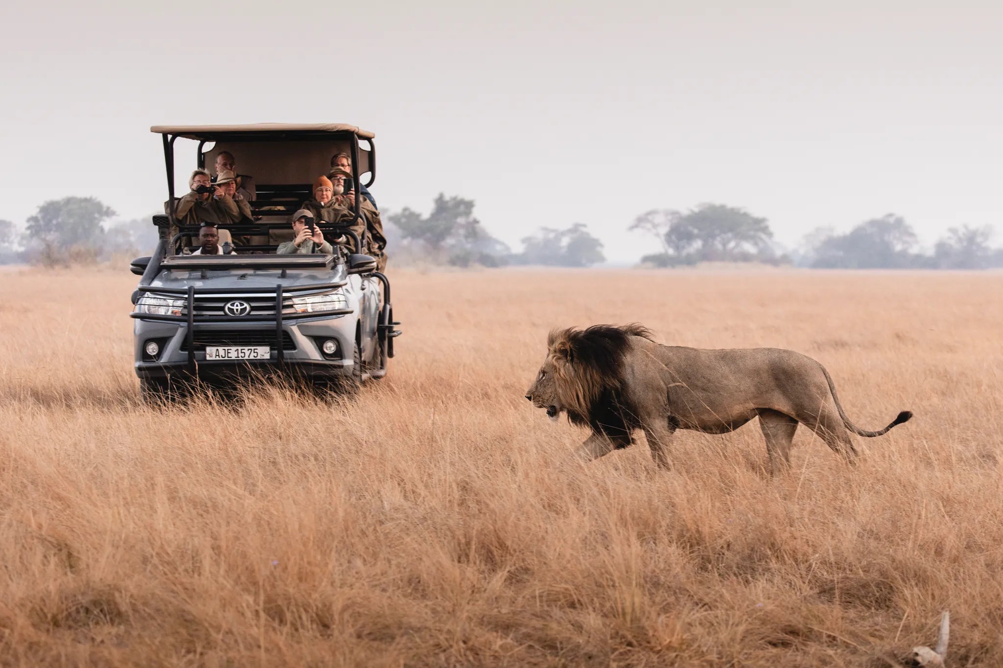 Wilderness Shumba Camp at Wilderness Shumba, Northern Kafue, Zambia.