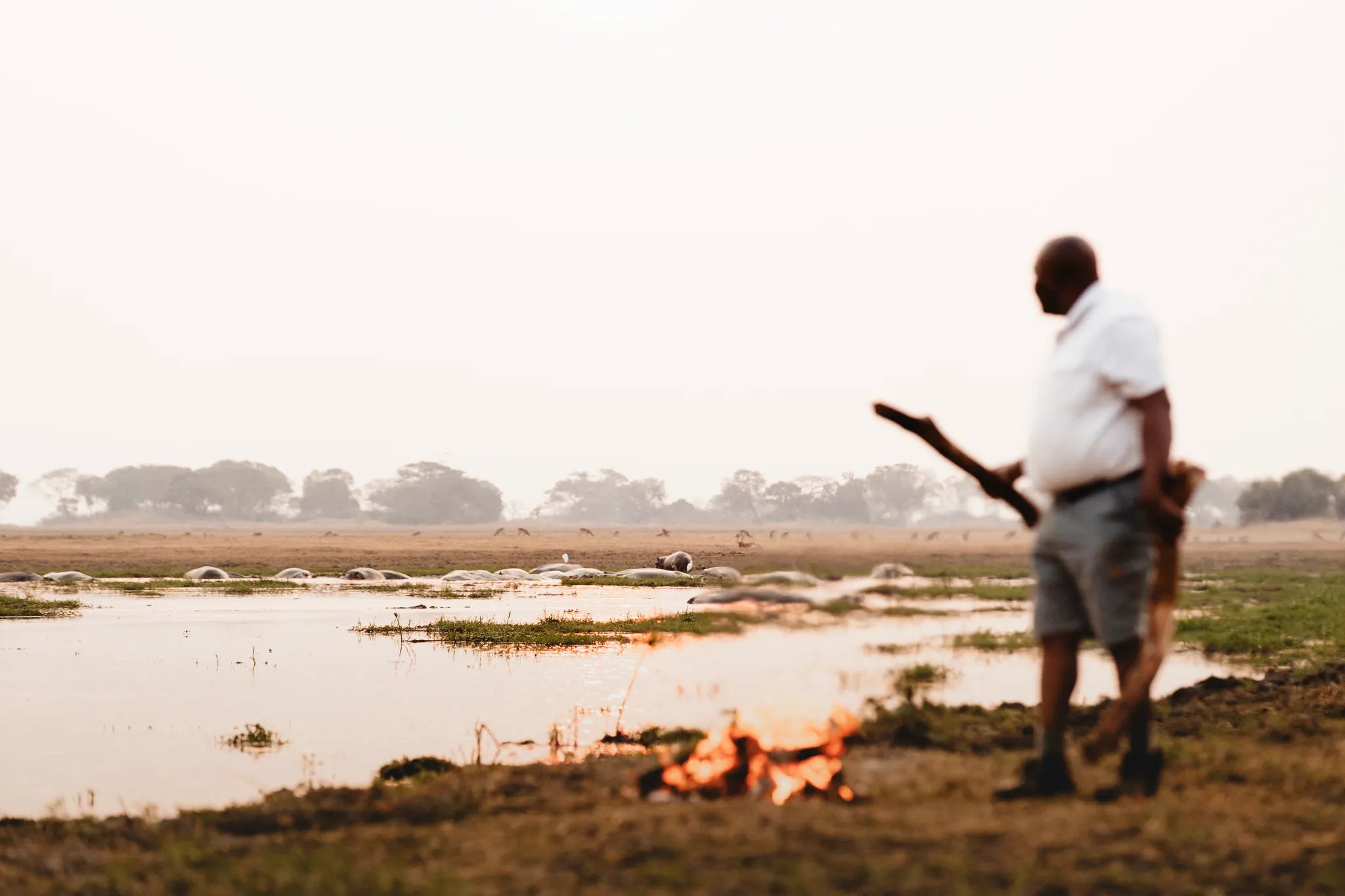 Wilderness Shumba Camp at Wilderness Shumba, Northern Kafue, Zambia.