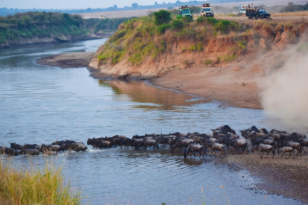 Mara Serena Game Drives gallery image 2