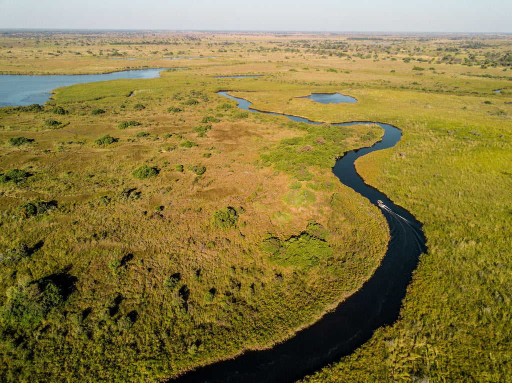 Motorboat Safaris gallery image 3