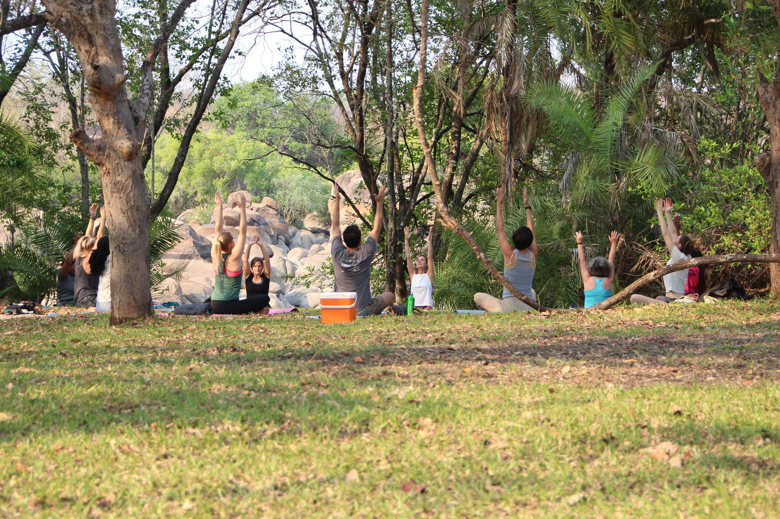 Yoga in the Wild