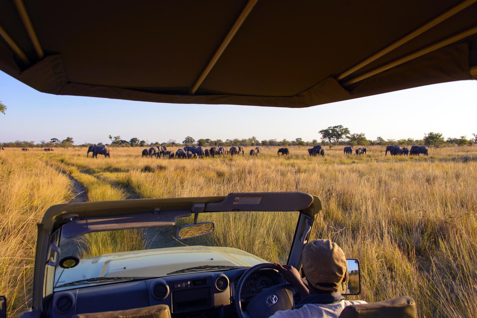 Private Game Drive or Boat Cruise gallery image 2