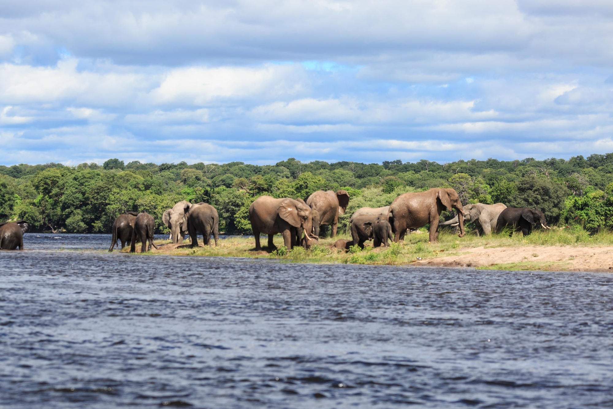 Private Game Drive or Boat Cruise gallery image 8