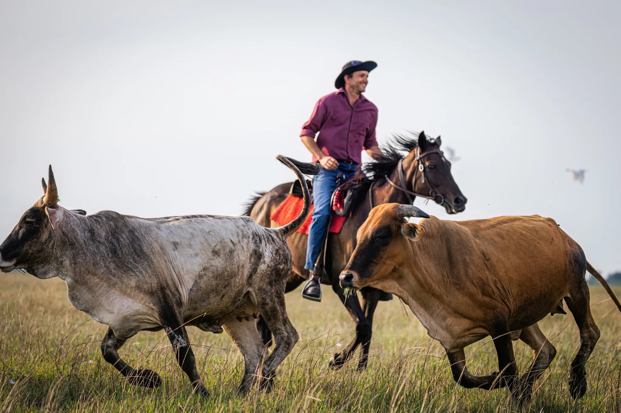 Rider Andre at Zambian Horseback Safaris, Upper Zambezi, Zambia.