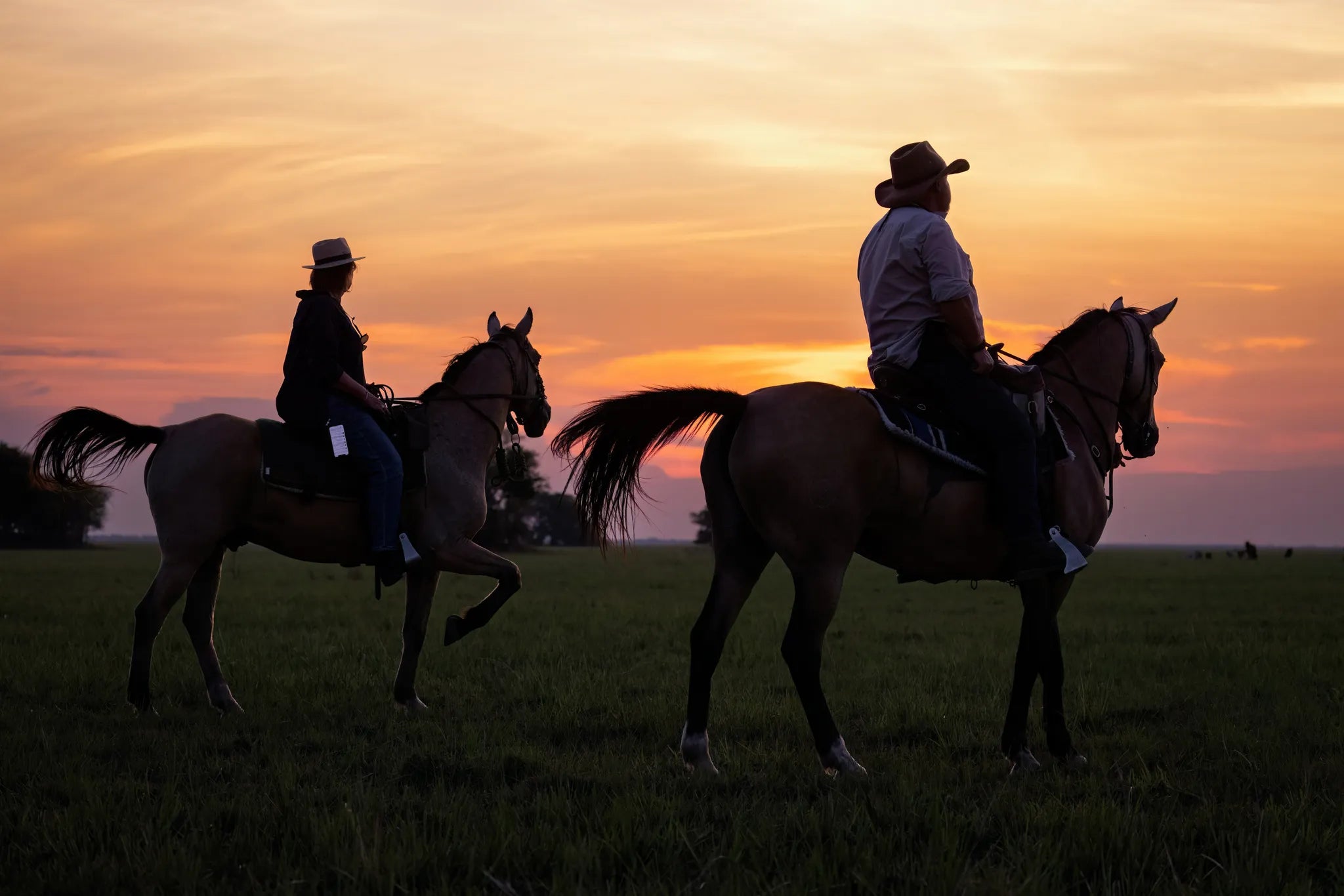 Sunset in the Simalaha at Zambian Horseback Safaris, Upper Zambezi, Zambia.