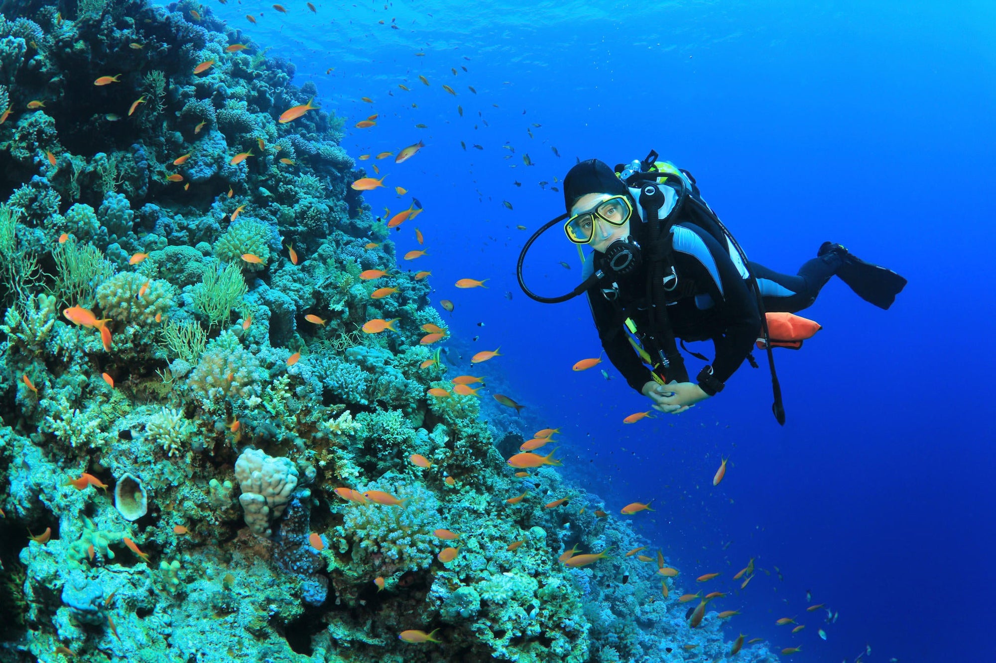Scuba diving (Included) gallery image 3