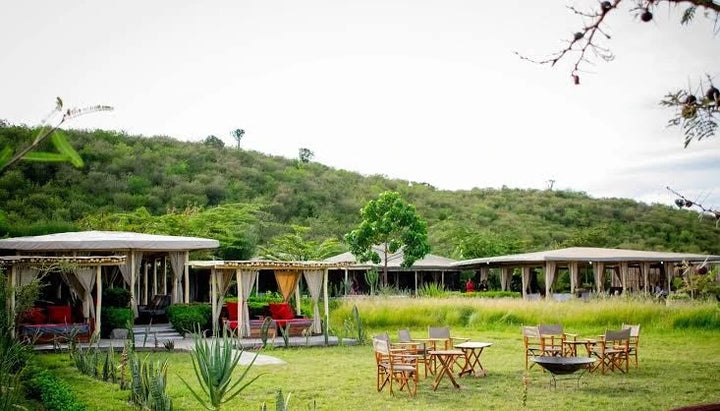 Zebra Plains Mara Camp