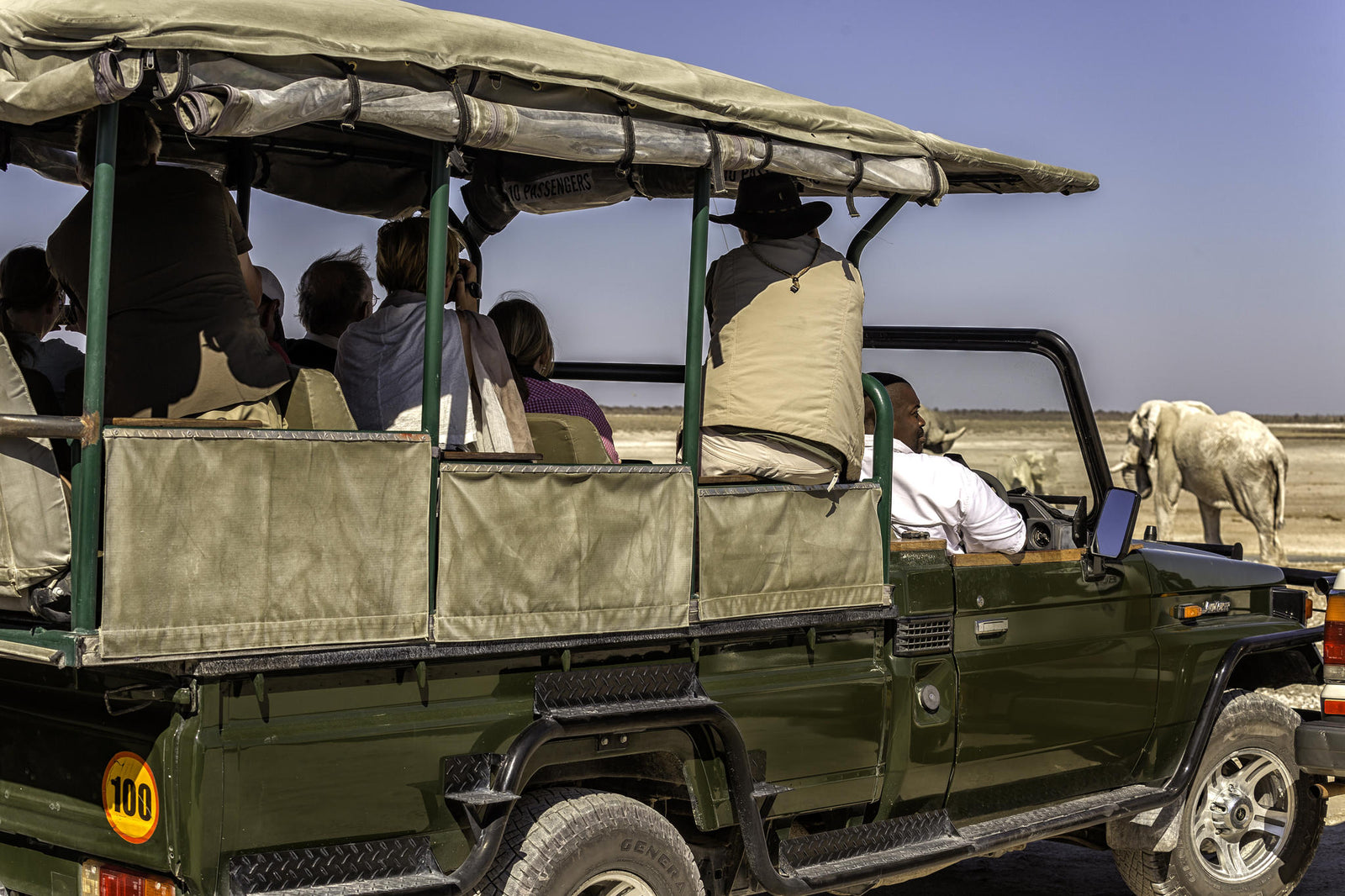 Morning Game Drive