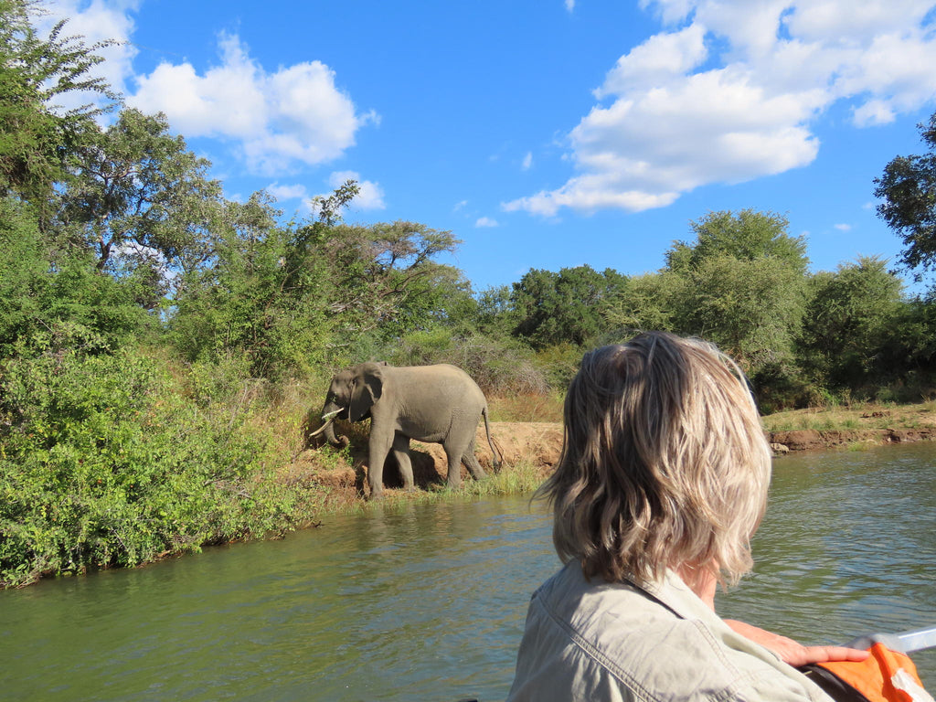 Boat Transfer to Mana Pools Safari Lodge gallery image 2